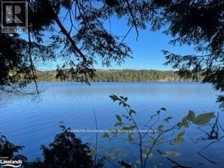 1440-6 West Oxbow Lake Road, Lake Of Bays, Ontario P1H 2J6 - Photo 2 - X12839396