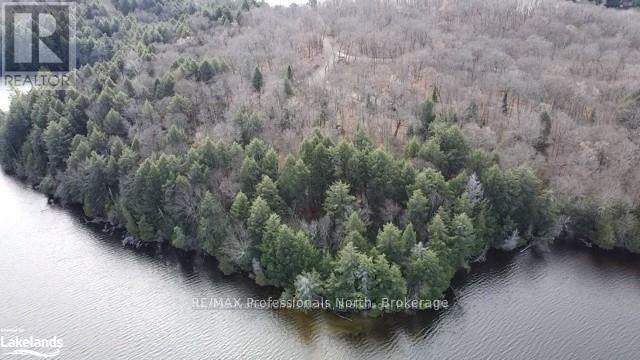 1440-5 West Oxbow Lake Road, Lake Of Bays, Ontario  P1H 2J6 - Photo 8 - X12839400