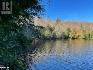 1440-5 West Oxbow Lake Road, Lake Of Bays, Ontario  P1H 2J6 - Photo 3 - X12839400