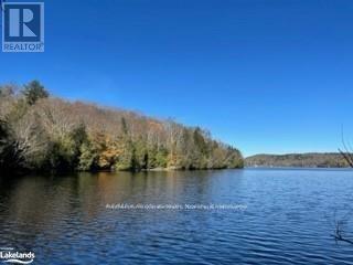 1440-5 West Oxbow Lake Road, Lake Of Bays, Ontario  P1H 2J6 - Photo 4 - X12839400