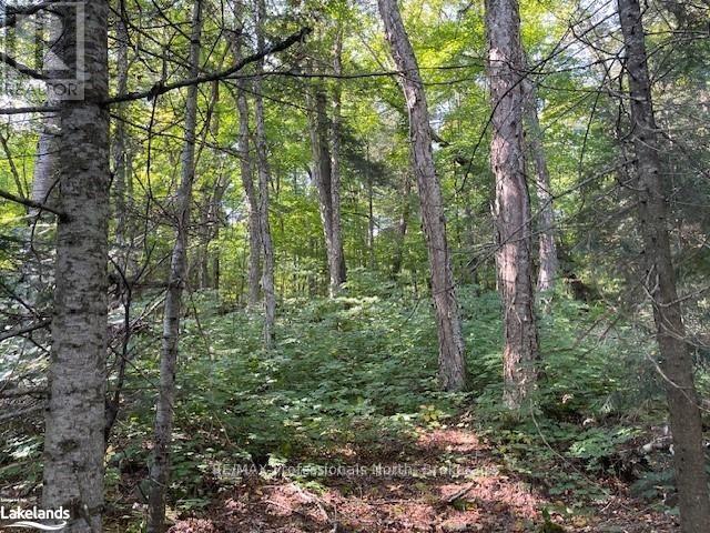 1448-3 West Oxbow Lake Road, Lake Of Bays, Ontario  P1H 2J6 - Photo 4 - X12839384