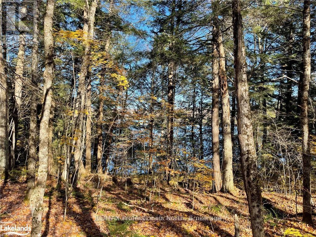 1440-6 West Oxbow Lake Road, Lake Of Bays, Ontario P1H 2J6 - Photo 7 - X12839396