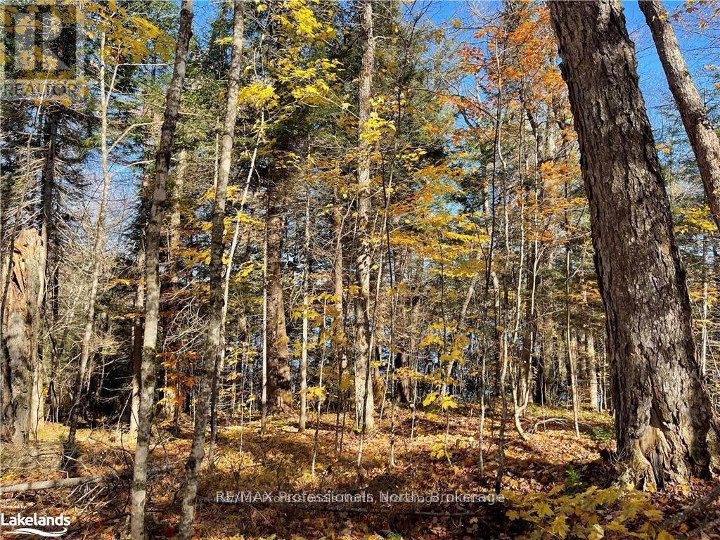 1440-6 West Oxbow Lake Road, Lake Of Bays, Ontario P1H 2J6 - Photo 5 - X12839396