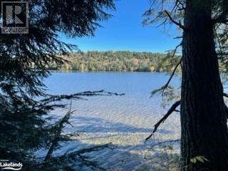 1440-5 West Oxbow Lake Road, Lake Of Bays, Ontario  P1H 2J6 - Photo 2 - X12839400