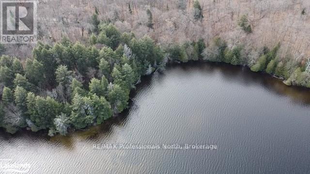 1440-5 West Oxbow Lake Road, Lake Of Bays, Ontario  P1H 2J6 - Photo 9 - X12839400