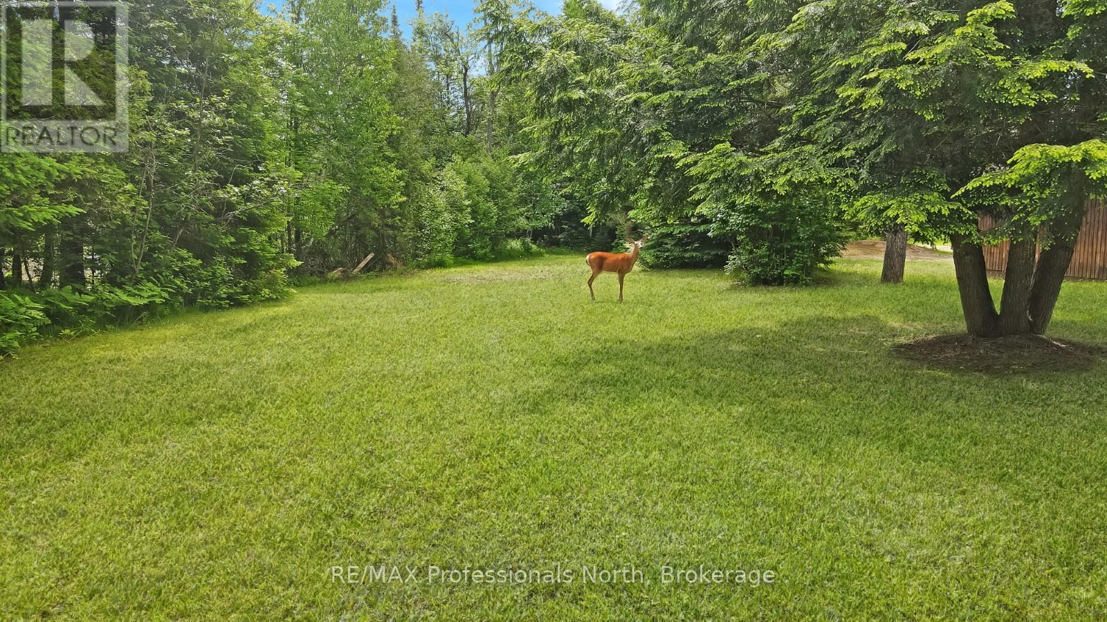 11601 Highway 118 Highway, Dysart Et Al, Ontario  K0M 1S0 - Photo 43 - X12839488