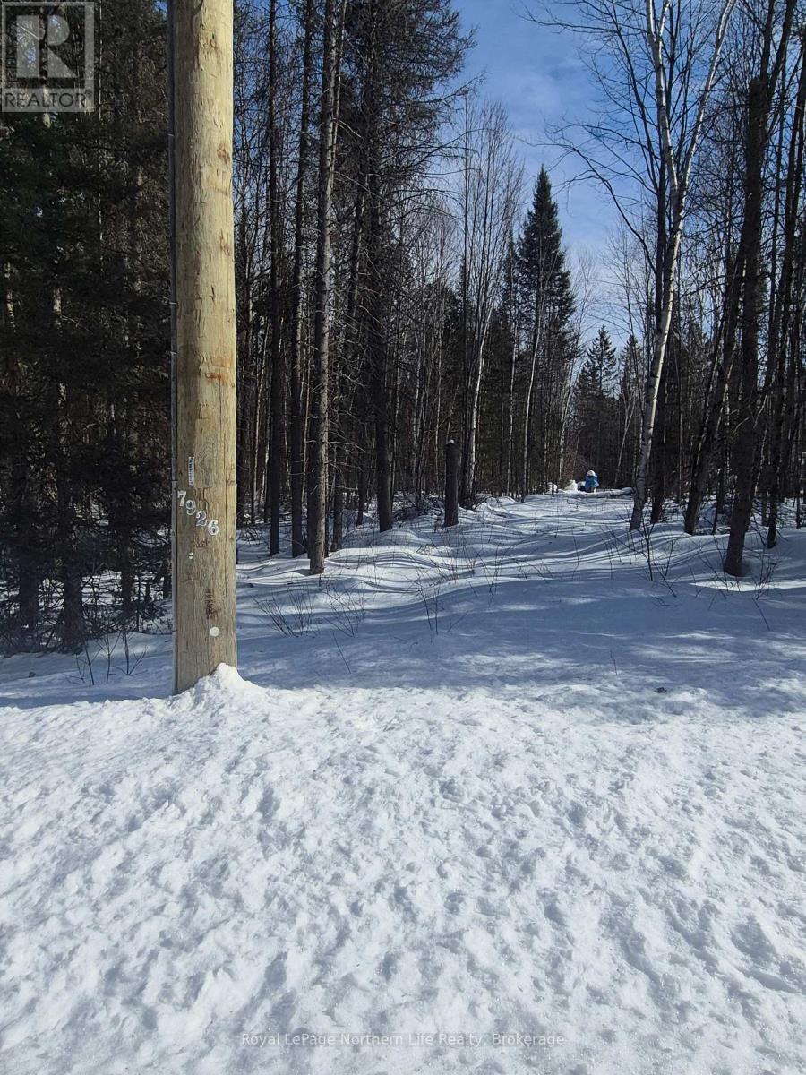 446 Cameron Road, Papineau-Cameron (Papineau Cameron), Ontario  P0H 1V0 - Photo 3 - X12839560