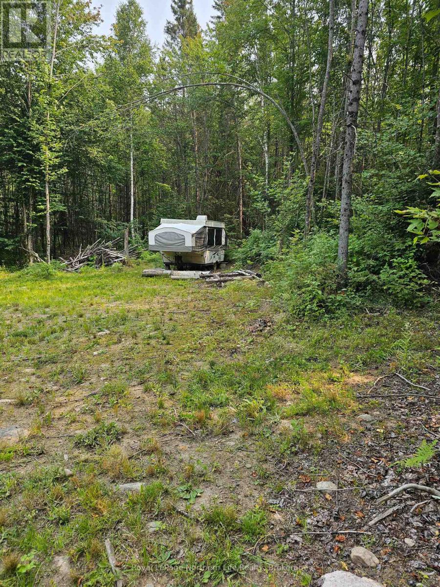 446 Cameron Road, Papineau-Cameron (Papineau Cameron), Ontario  P0H 1V0 - Photo 6 - X12839560