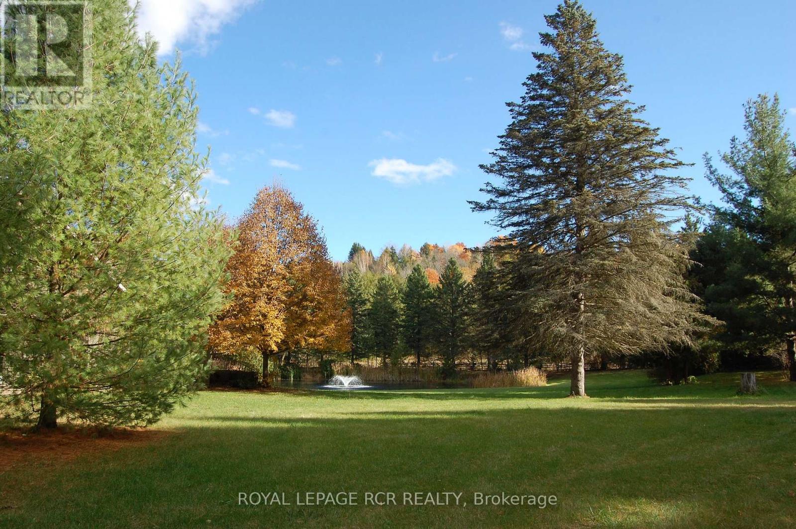 2863 Concession Rd 3, Adjala-Tosorontio, Ontario  L0N 1P0 - Photo 29 - N12839524