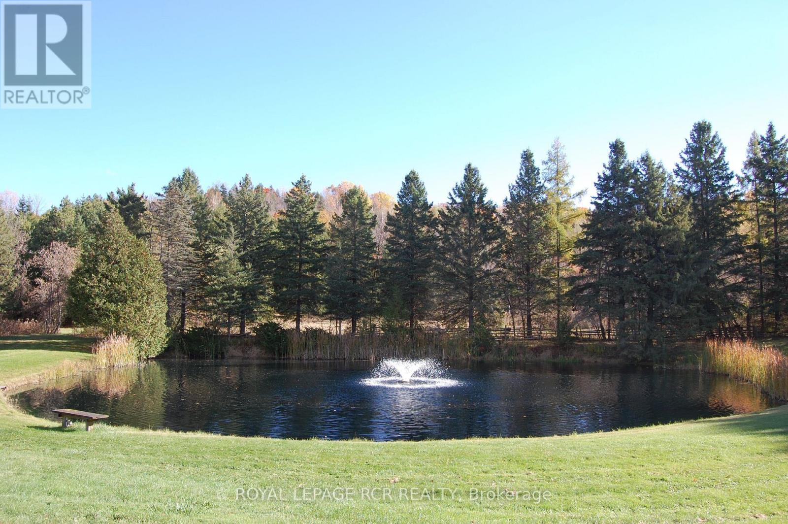 2863 Concession Rd 3, Adjala-Tosorontio, Ontario  L0N 1P0 - Photo 30 - N12839524