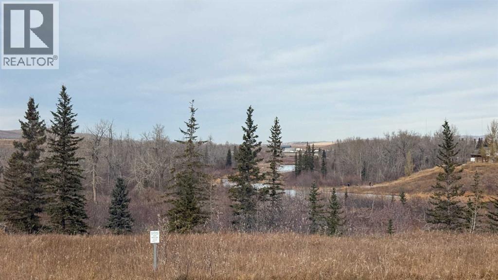 130 Riverwood Crescent Sw, Diamond Valley, Alberta  T0L 0H0 - Photo 39 - A2268597