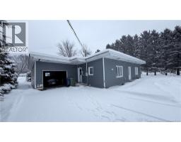 12 Peupliers, clair, New Brunswick