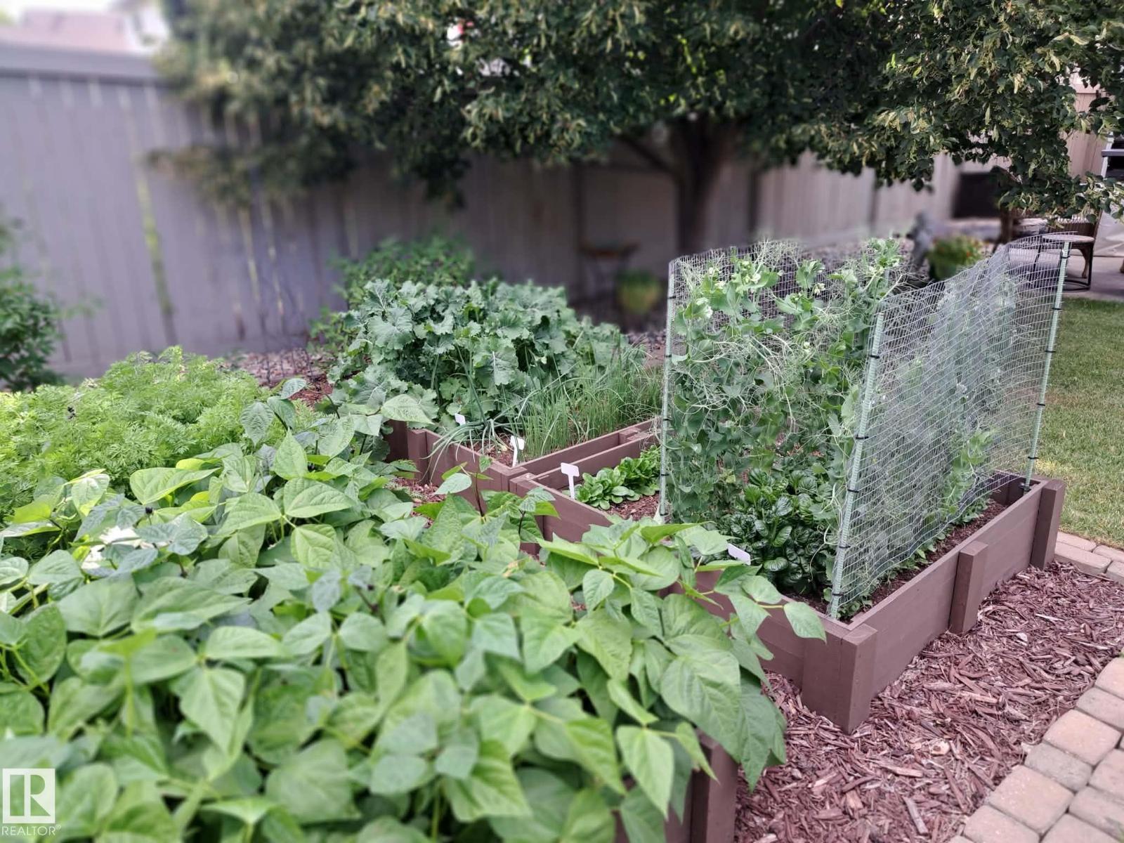 5 Elbow Pl, St. Albert, Alberta  T8N 6X3 - Photo 29 - E4475620