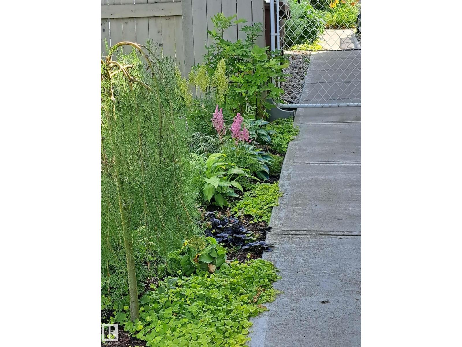 5 Elbow Pl, St. Albert, Alberta  T8N 6X3 - Photo 48 - E4475620