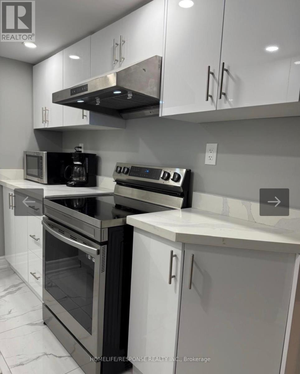 Basement - 47 Dorian Drive, Whitby, Ontario  L1P 0L6 - Photo 11 - E12839610