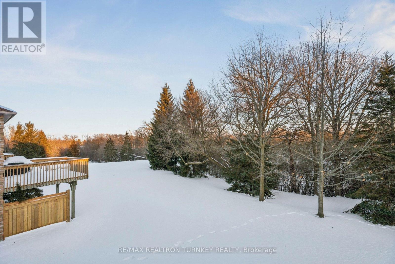 440 Morley Cook Crescent, Newmarket, Ontario  L3X 2M3 - Photo 41 - N12839592