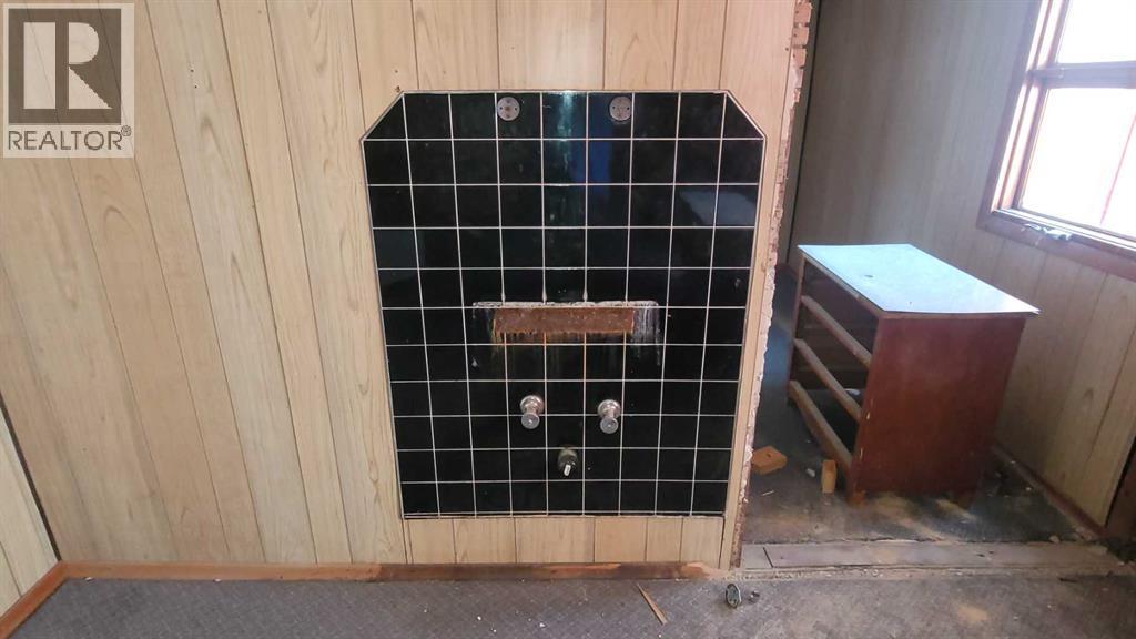 4918 50 Avenue, Castor, Alberta  T0C 0X0 - Photo 29 - A2249801