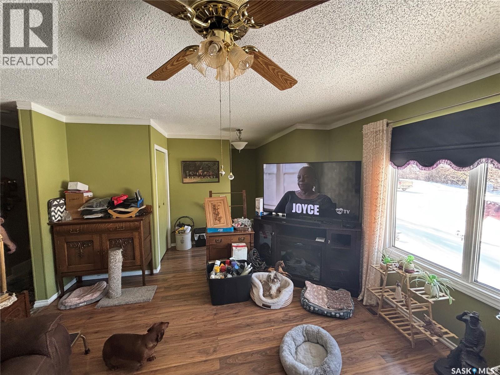 299 9th Avenue, Broadview, Saskatchewan  S0G 0K0 - Photo 11 - SK029607