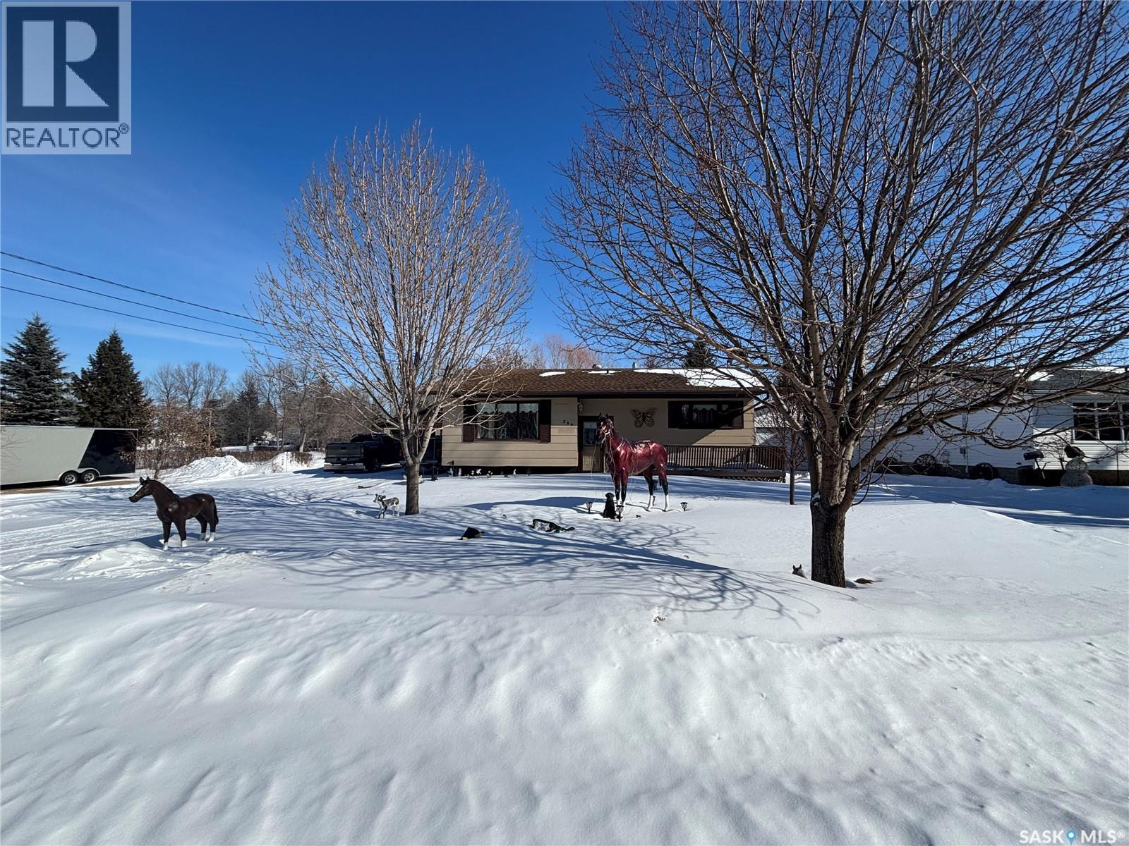 299 9th Avenue, Broadview, Saskatchewan  S0G 0K0 - Photo 5 - SK029607