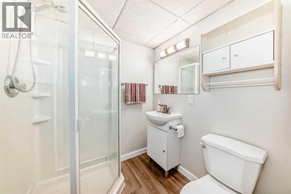 22 Osborne Street, Red Deer, Alberta  T4N 5C2 - Photo 31 - A2287974