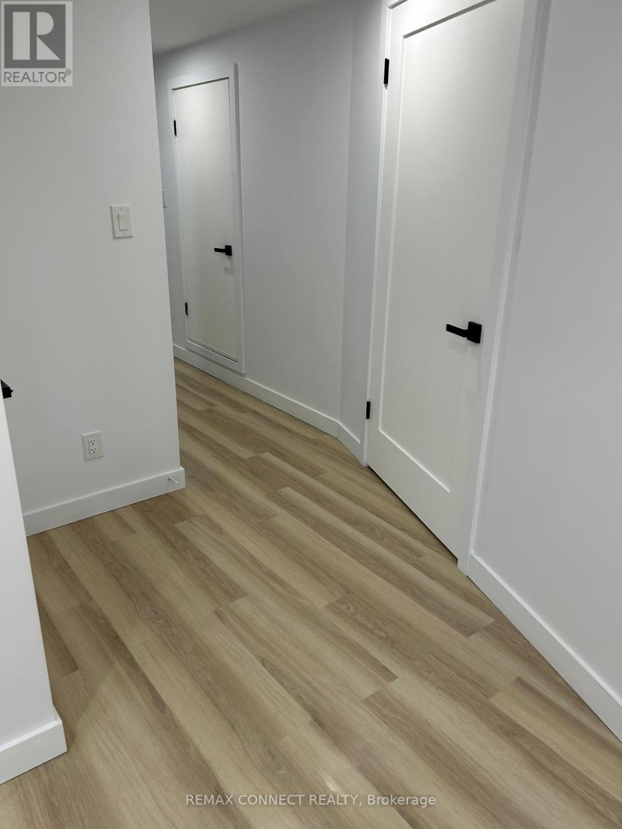 Bsmt - 206 Laidlaw Street S, Brock, Ontario  L0E 1E0 - Photo 11 - N12839794