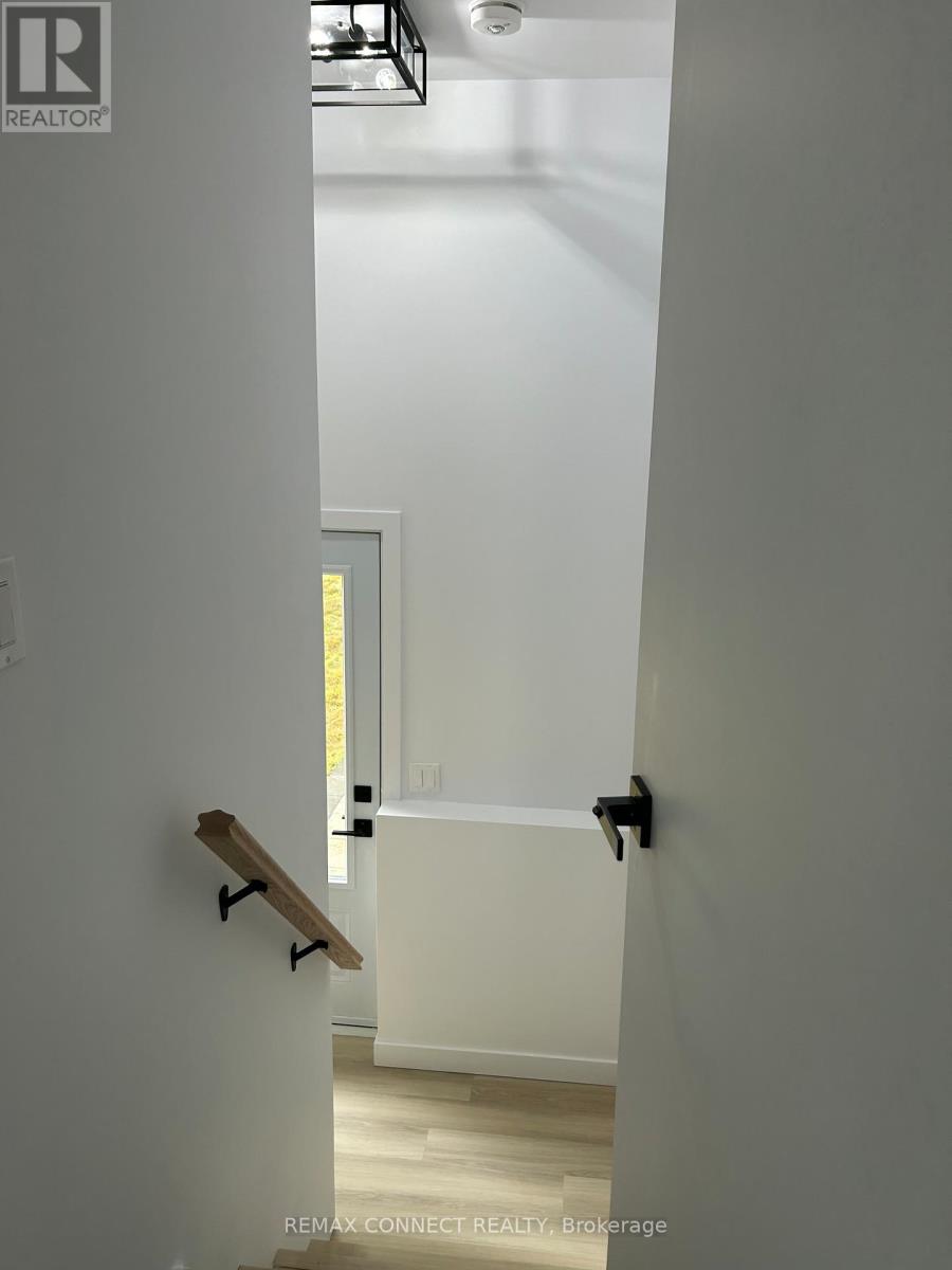 Bsmt - 206 Laidlaw Street S, Brock, Ontario  L0E 1E0 - Photo 4 - N12839794