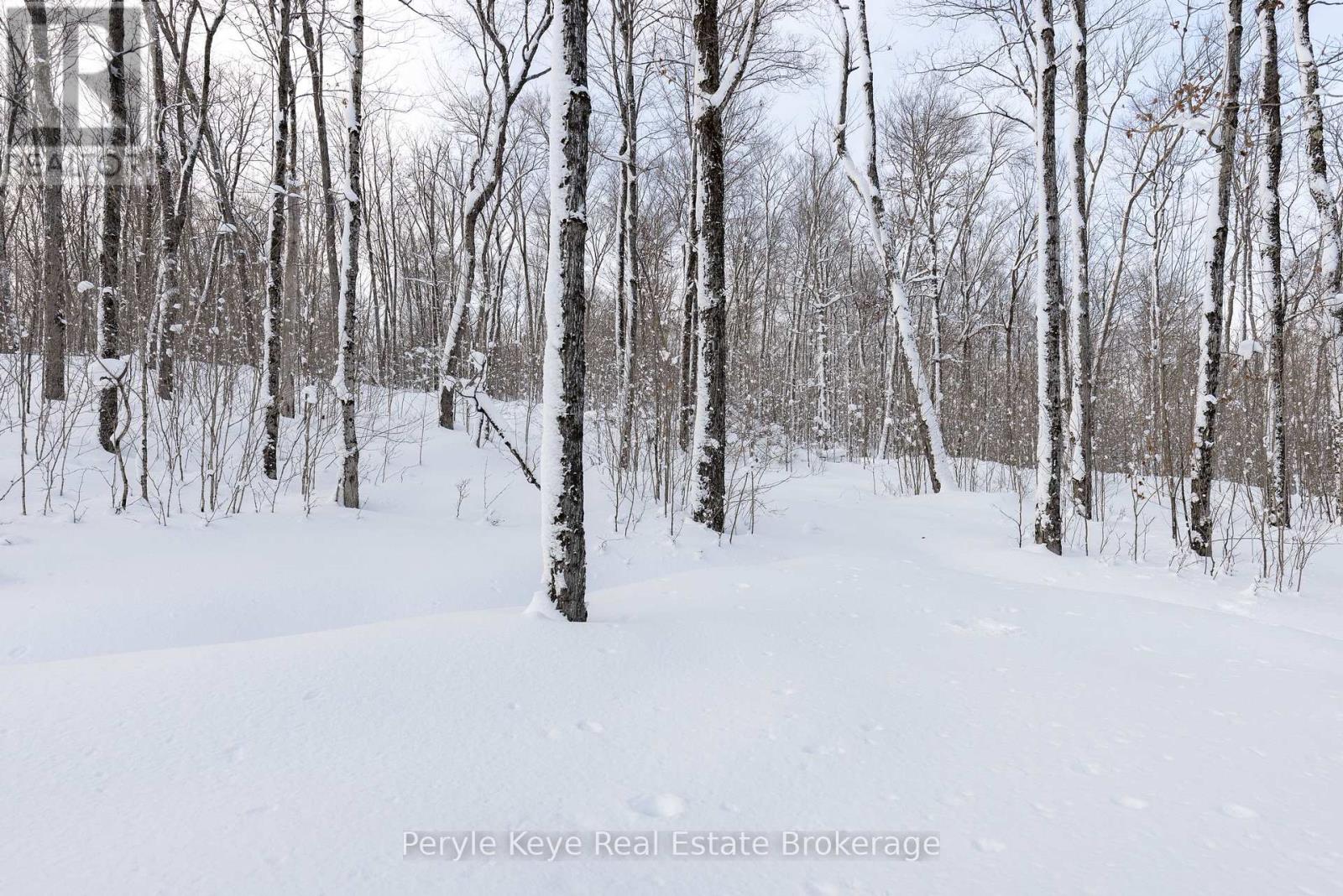 103 Granite Drive, Huntsville, Ontario  P1H 2N5 - Photo 44 - X12781994