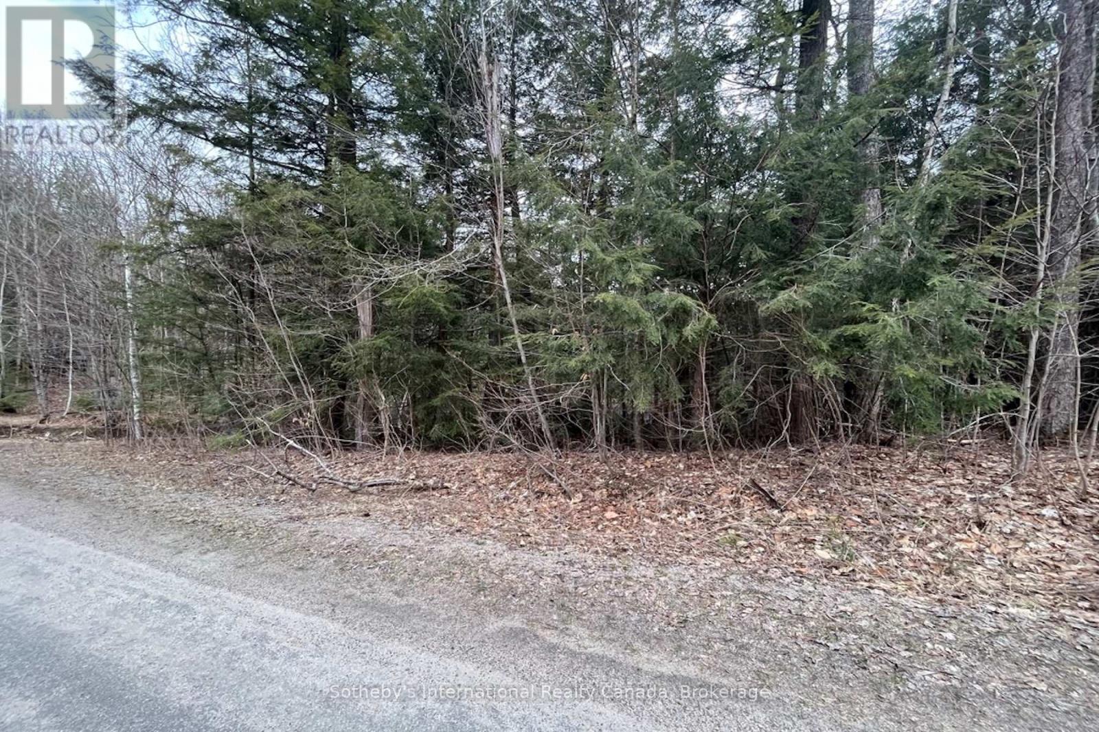 1031 Haven Road, Bracebridge, Ontario  P1L 1X1 - Photo 10 - X12840170