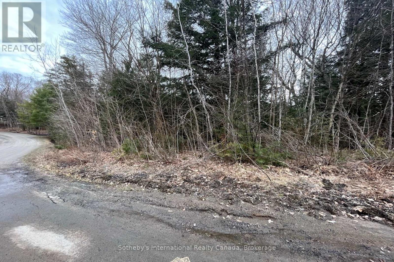 1031 Haven Road, Bracebridge, Ontario  P1L 1X1 - Photo 13 - X12840170