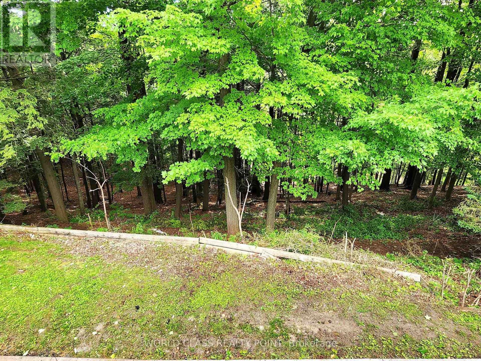 60 Kleins Ridge, Vaughan, Ontario L0J 1C0 - Photo 42 - N12840030