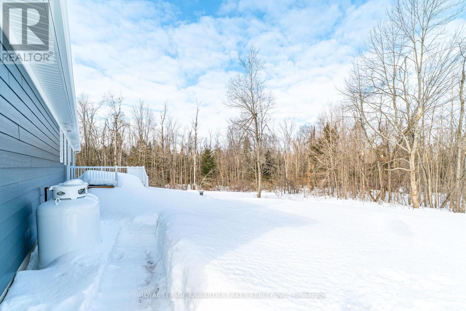 10 Patrick Street, Kawartha Lakes, Ontario  K0M 2B0 - Photo 42 - X12840210