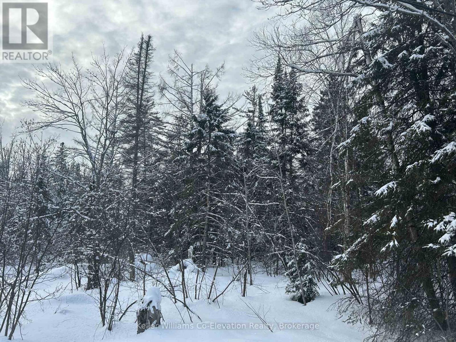 Pt Lt 16 Barkway Road, Gravenhurst, Ontario P1P 1R3 - Photo 8 - X12813250