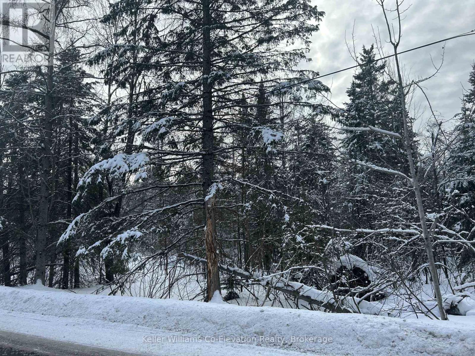 Pt Lt 16 Barkway Road, Gravenhurst, Ontario P1P 1R3 - Photo 7 - X12813250