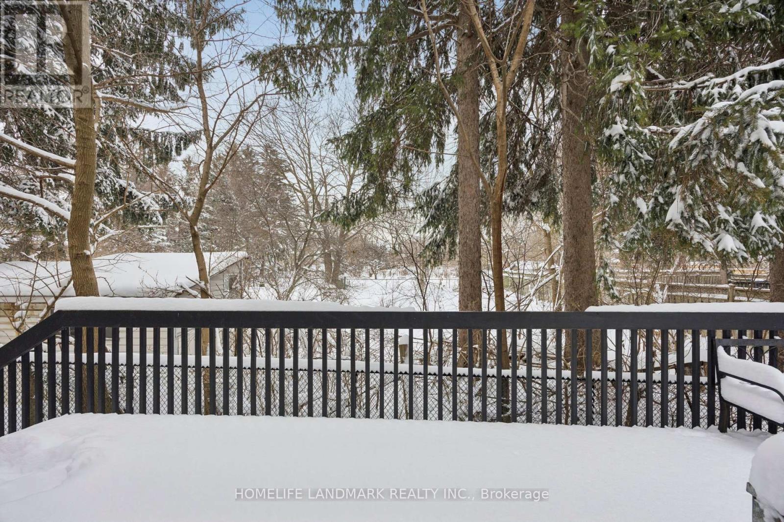 49 Pearson Avenue, Richmond Hill, Ontario  L4C 6T3 - Photo 34 - N12840266