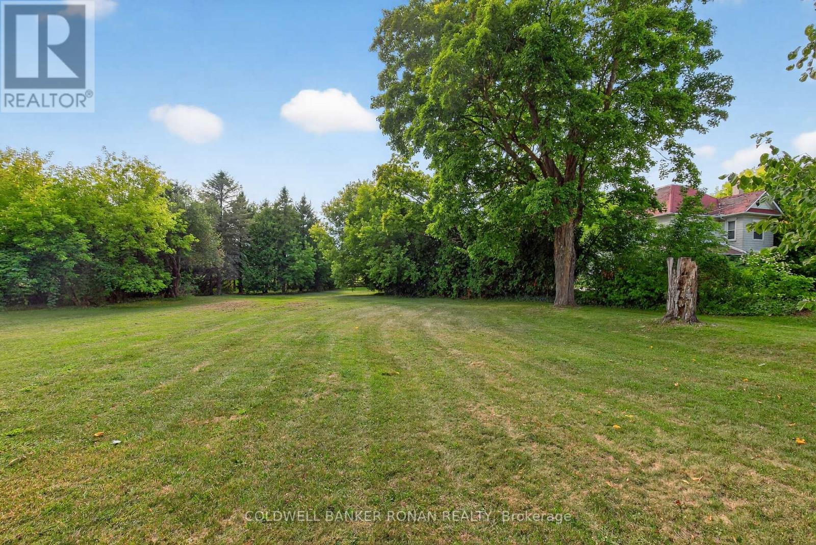 1516 17th Side Road, New Tecumseth, Ontario  L0G 1T0 - Photo 28 - N12840336