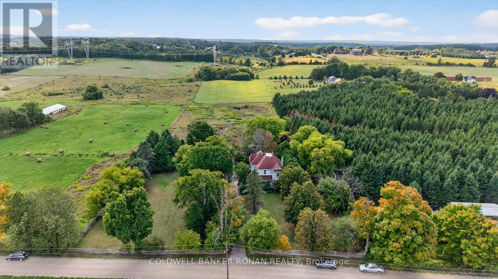1516 17th Side Road, New Tecumseth, Ontario  L0G 1T0 - Photo 29 - N12840336