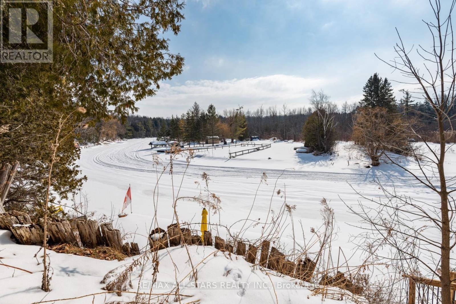 136 Riverbank Drive, Georgina, Ontario  L0E 1N0 - Photo 10 - N12840360