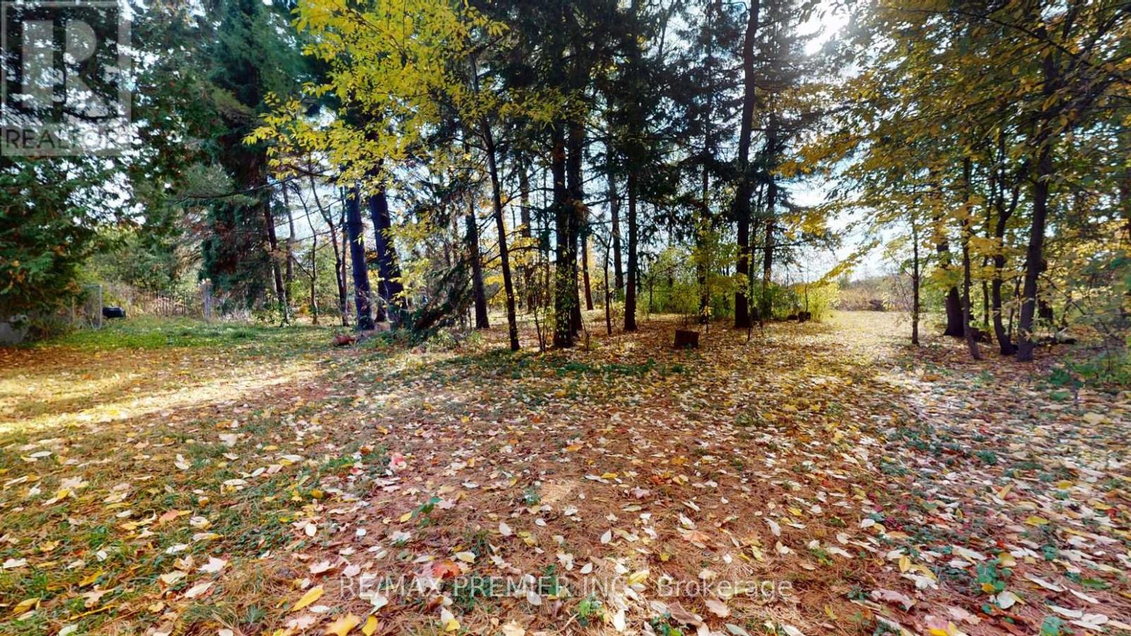 9190 Trafalgar Road, Halton Hills, Ontario  L7G 4S5 - Photo 30 - W12840390