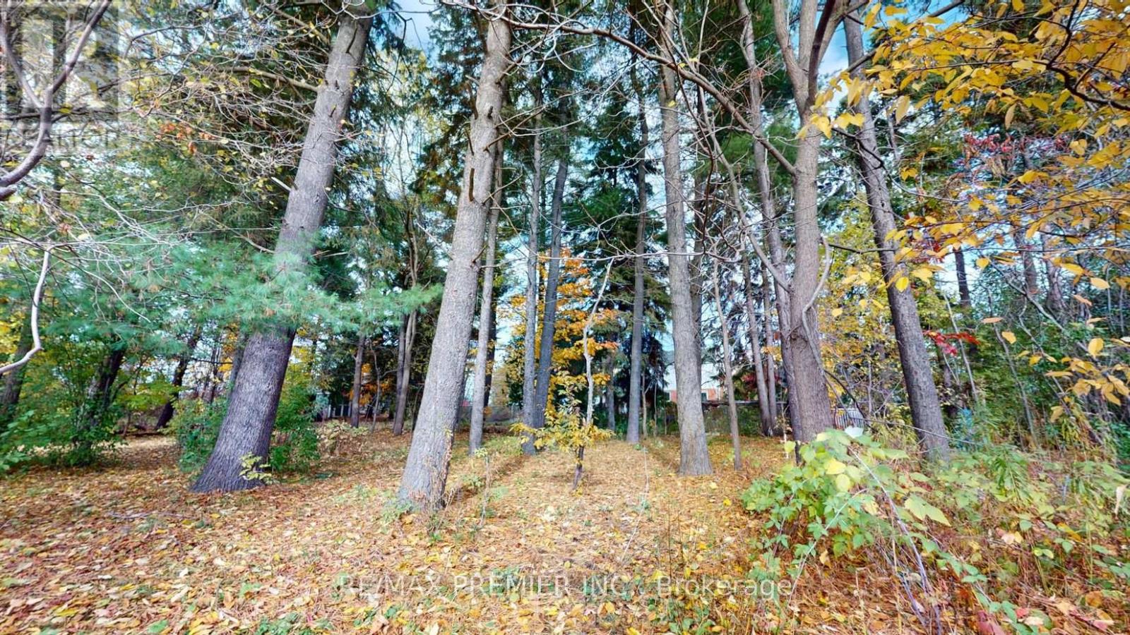 9190 Trafalgar Road, Halton Hills, Ontario  L7G 4S5 - Photo 32 - W12840390