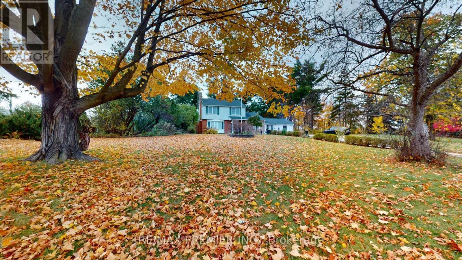 9190 Trafalgar Road, Halton Hills, Ontario  L7G 4S5 - Photo 5 - W12840390