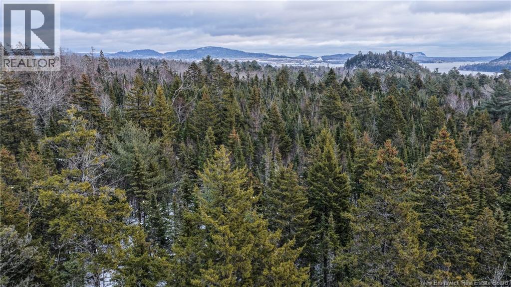 Lot Todds Point Road, Dufferin, New Brunswick  E3L 3R5 - Photo 14 - NB131960