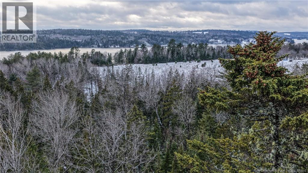 Lot Todds Point Road, Dufferin, New Brunswick  E3L 3R5 - Photo 13 - NB131960