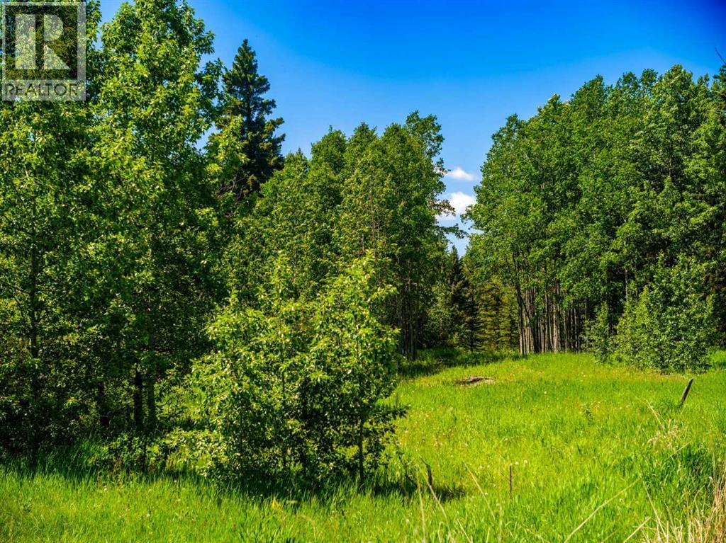 Water Valley, Rural Mountain View County, Alberta  T0M 2E0 - Photo 5 - A2183073