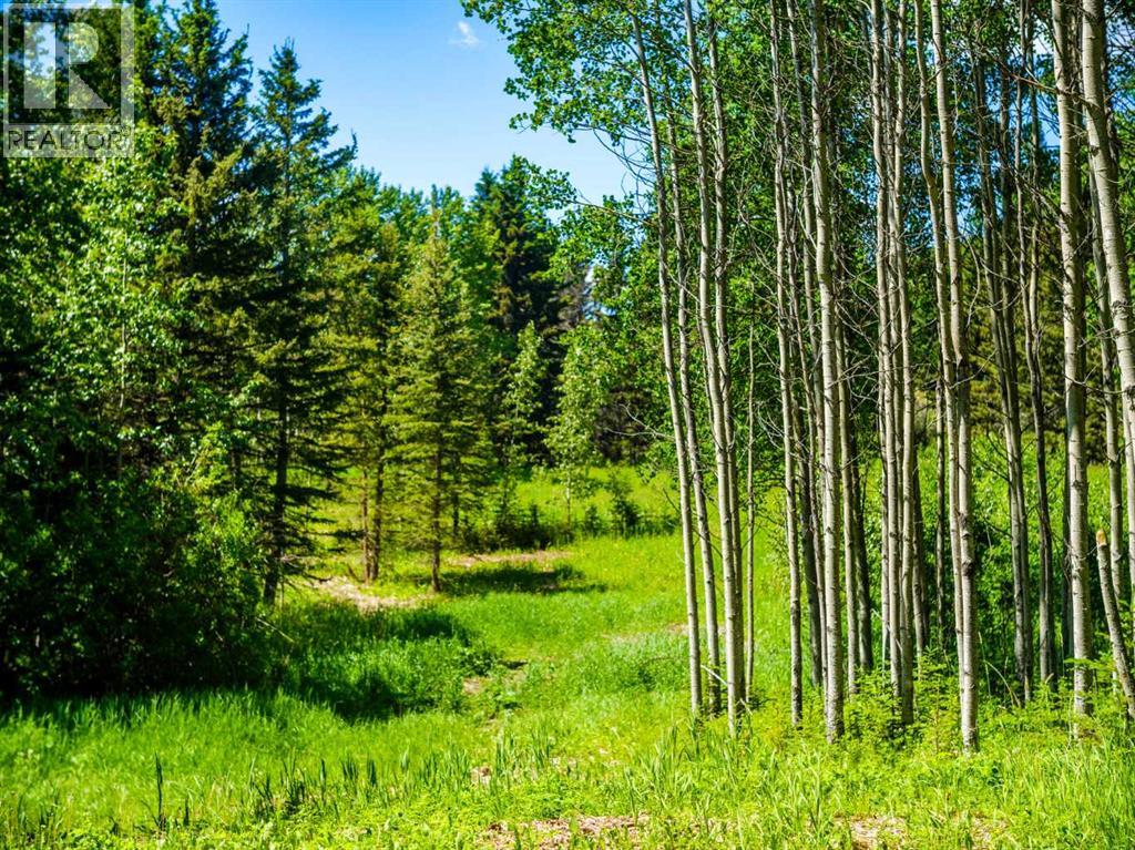 Water Valley, Rural Mountain View County, Alberta  T0M 2E0 - Photo 23 - A2183073