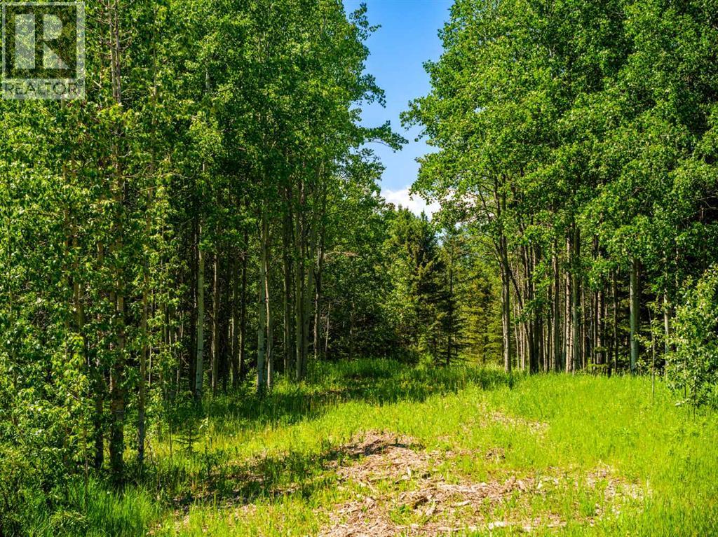 Water Valley, Rural Mountain View County, Alberta  T0M 2E0 - Photo 4 - A2183073
