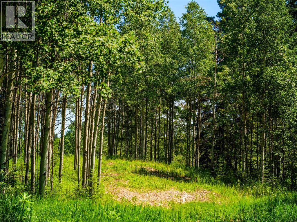 Water Valley, Rural Mountain View County, Alberta  T0M 2E0 - Photo 6 - A2183073