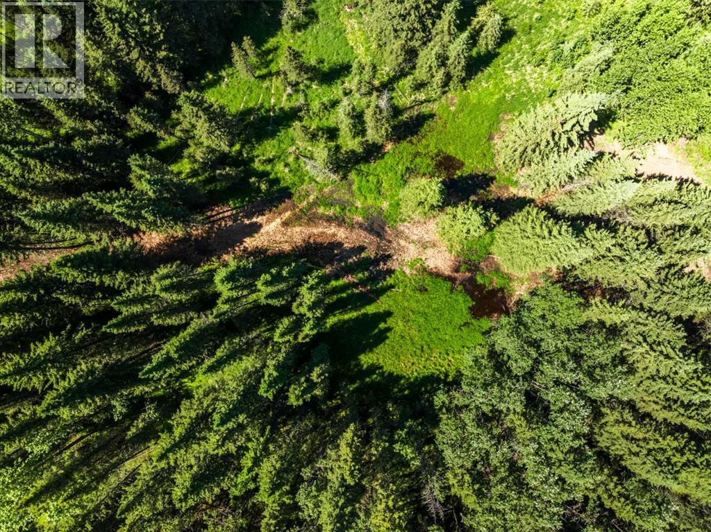 Water Valley, Rural Mountain View County, Alberta  T0M 2E0 - Photo 7 - A2183073