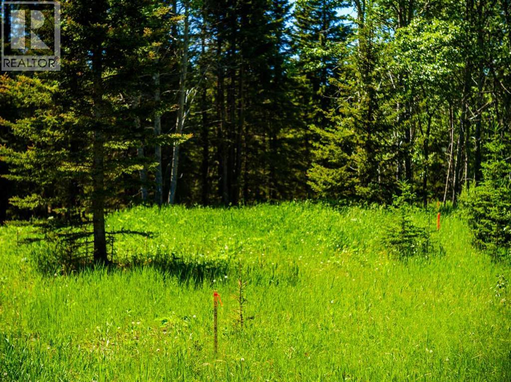 Water Valley, Rural Mountain View County, Alberta  T0M 2E0 - Photo 25 - A2183073