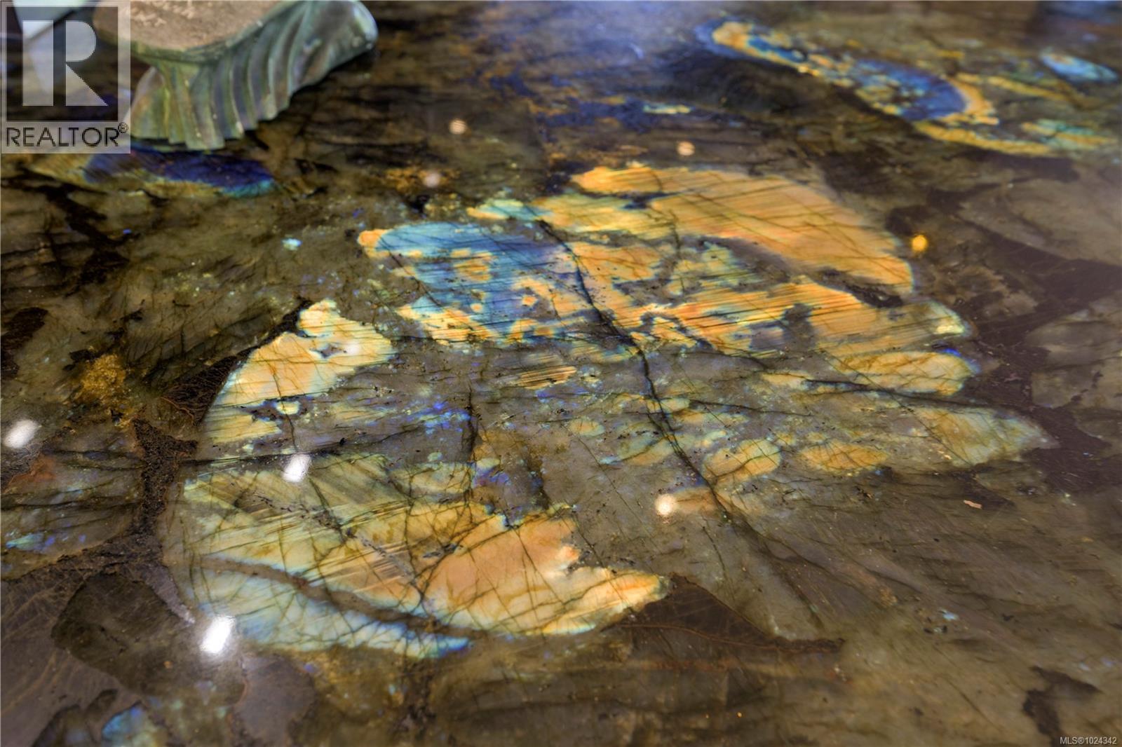 626 Monterey Ave, Oak Bay, British Columbia  V8S 4T9 - Photo 17 - 1024342