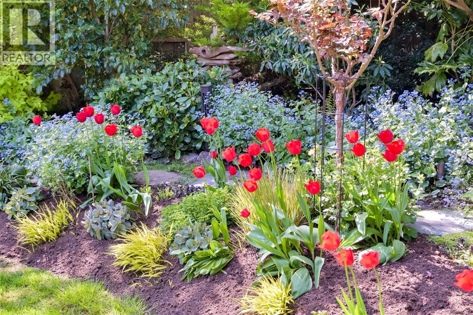 626 Monterey Ave, Oak Bay, British Columbia  V8S 4T9 - Photo 49 - 1024342